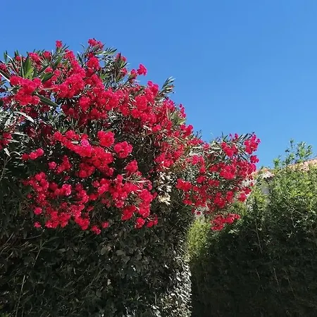 Entiere Villelongue-de-la-Salanque